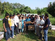 Beekeeping Training & Research